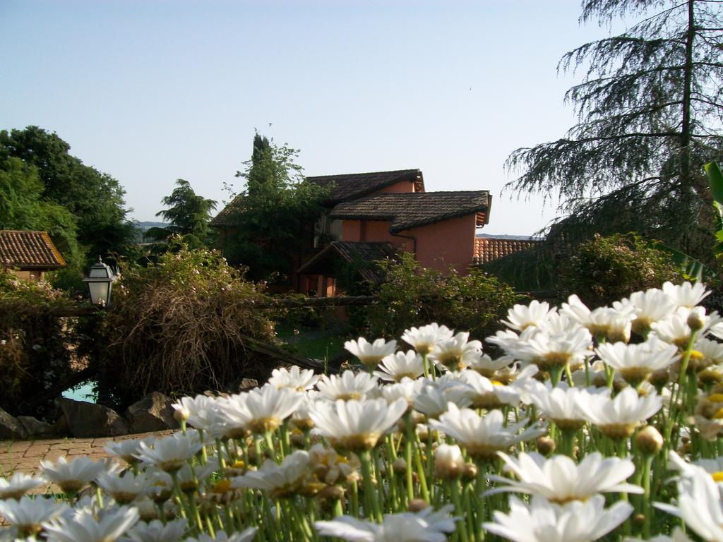 Antica Pietrara B&B Formello Esterno foto