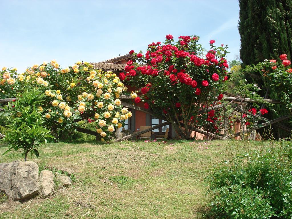 Antica Pietrara B&B Formello Esterno foto